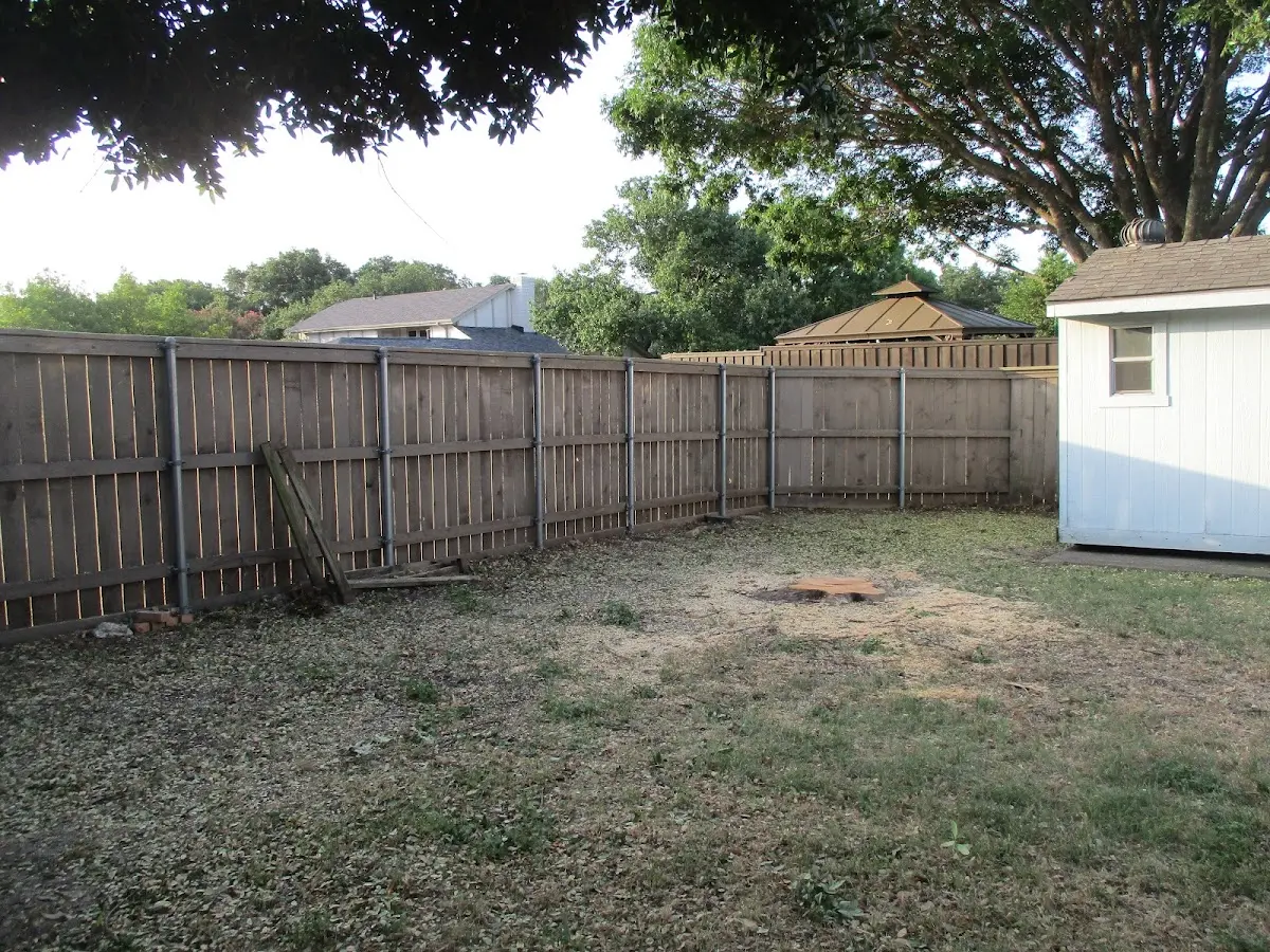Cleared yard after professional tree removal in Saugus